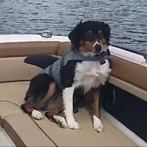 Meet your Posher, Garrett